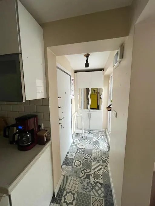 Terrace Flat In The Kadikoy Center Apartment Istanbul Turkey
