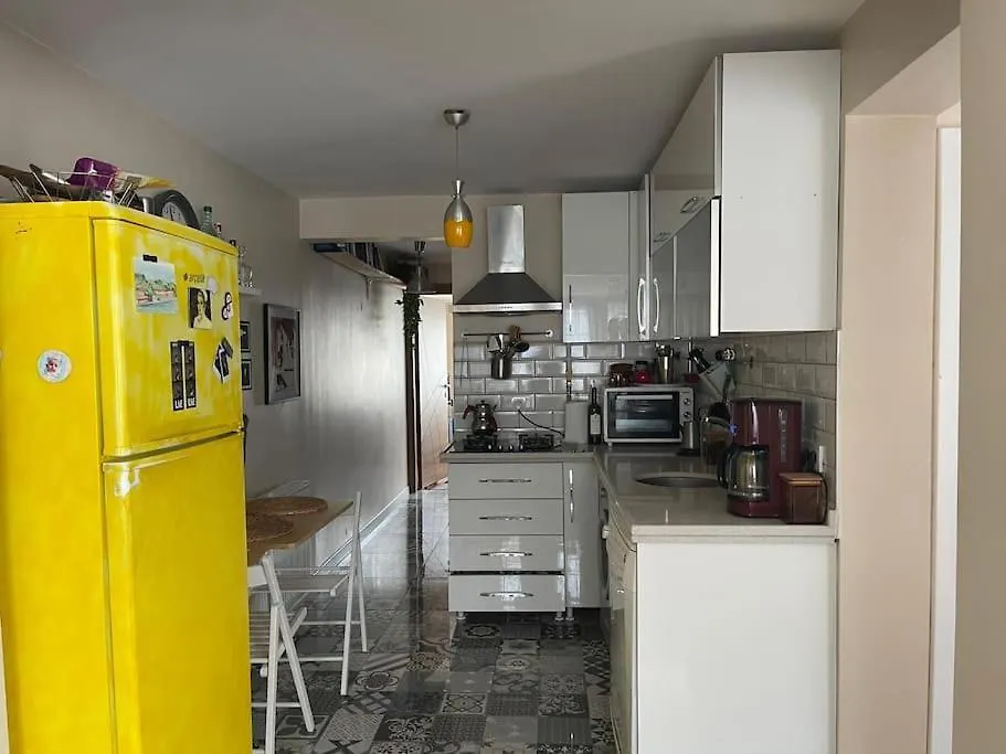 Terrace Flat In The Kadikoy Center Apartment Istanbul Turkey