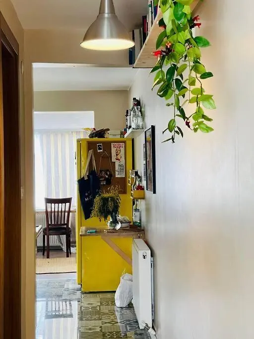 Terrace Flat In The Kadikoy Center Apartment Istanbul